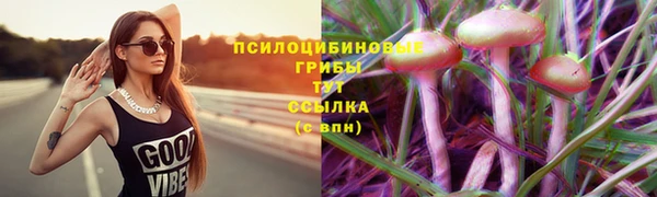 тгк Инта