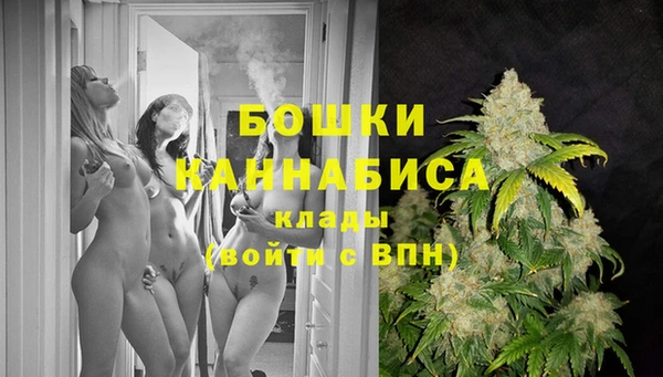 тгк Инта