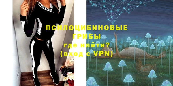 тгк Инта