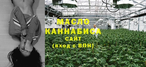 тгк Инта