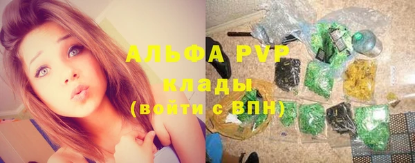 тгк Инта