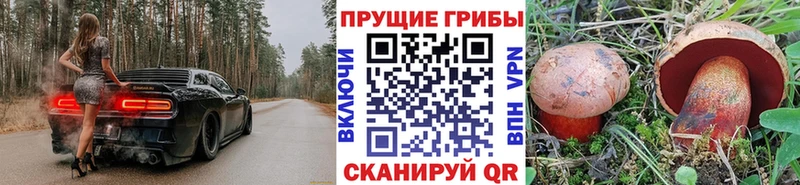 Купить где  Кушва  Псилоцибиновые грибы мухоморы 