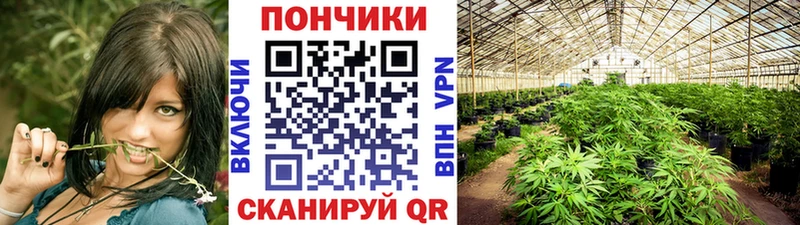 Шишки марихуана ГИДРОПОН  Купить  Кушва 
